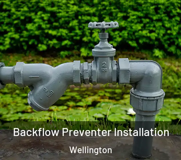  Backflow Preventer Installation Wellington