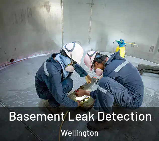  Basement Leak Detection Wellington