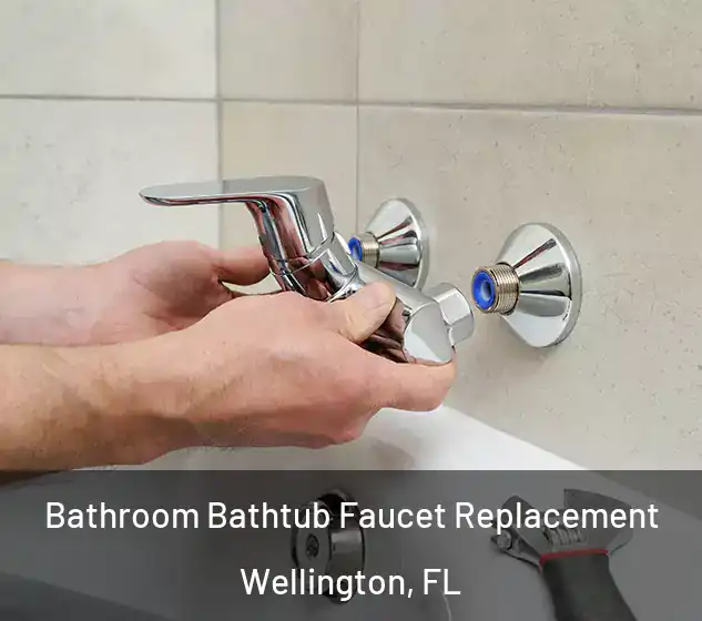  Bathroom Bathtub Faucet Replacement Wellington, FL