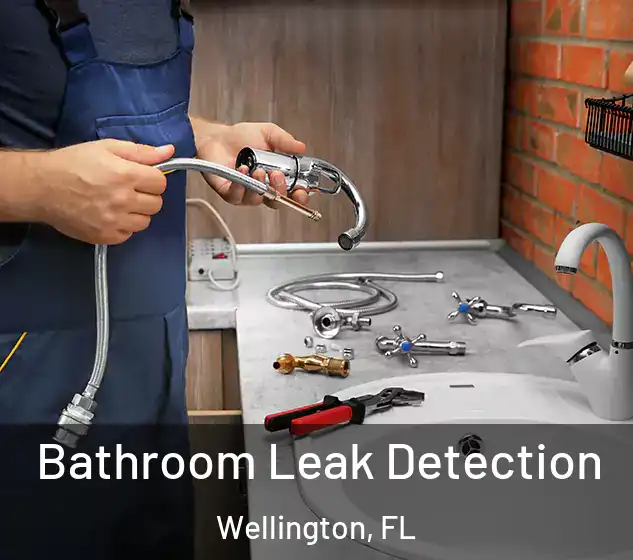  Bathroom Leak Detection Wellington, FL