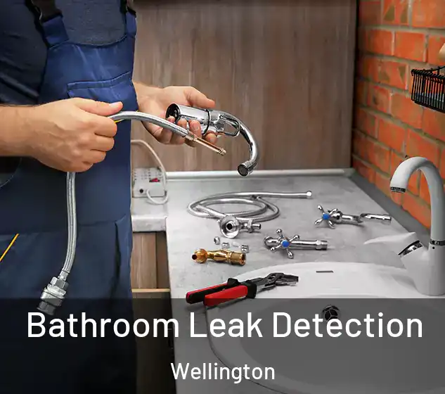  Bathroom Leak Detection Wellington