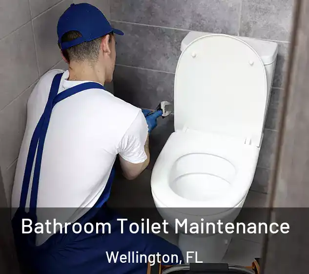  Bathroom Toilet Maintenance Wellington, FL