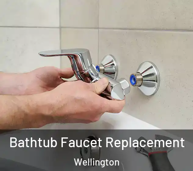  Bathtub Faucet Replacement Wellington