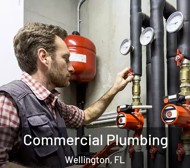  Commercial Plumbing Wellington, FL