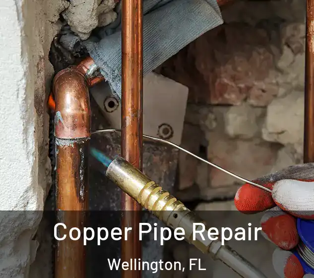  Copper Pipe Repair Wellington, FL