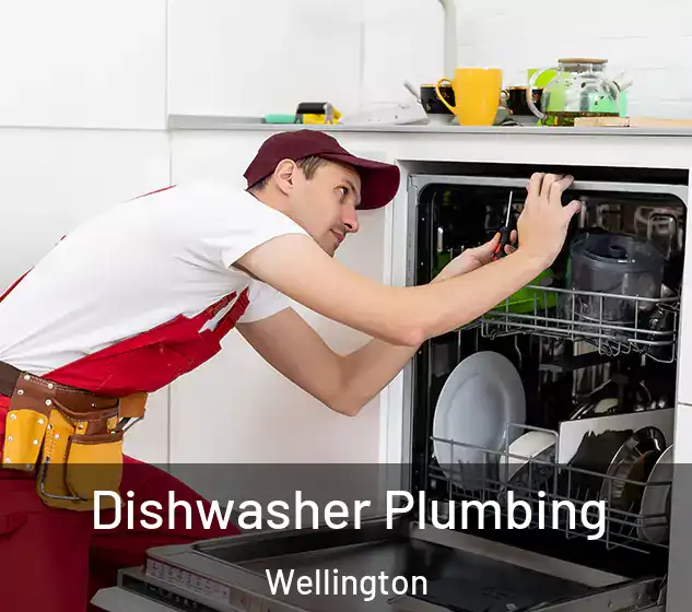  Dishwasher Plumbing Wellington
