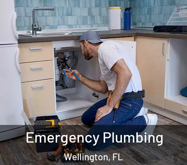  Emergency Plumbing Wellington, FL