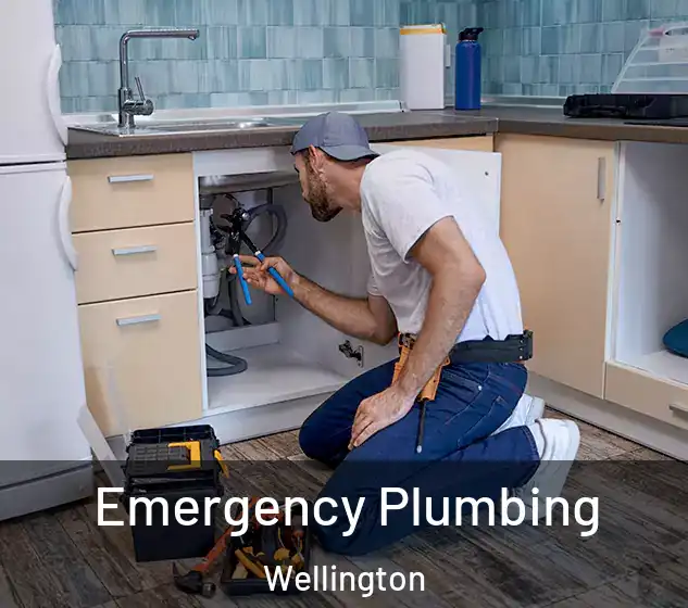  Emergency Plumbing Wellington