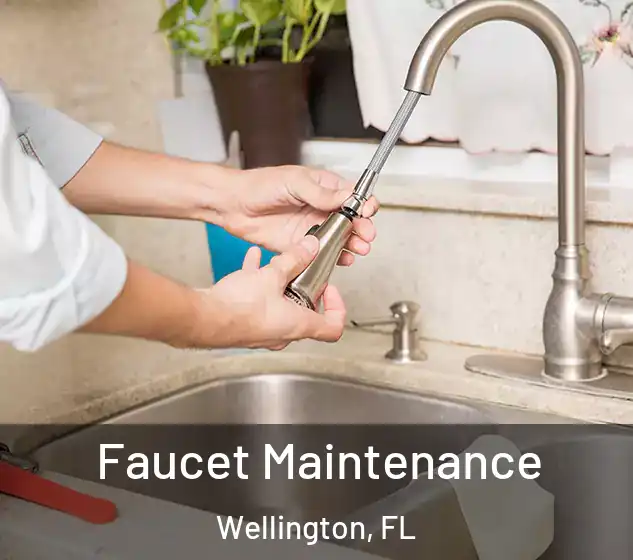  Faucet Maintenance Wellington, FL