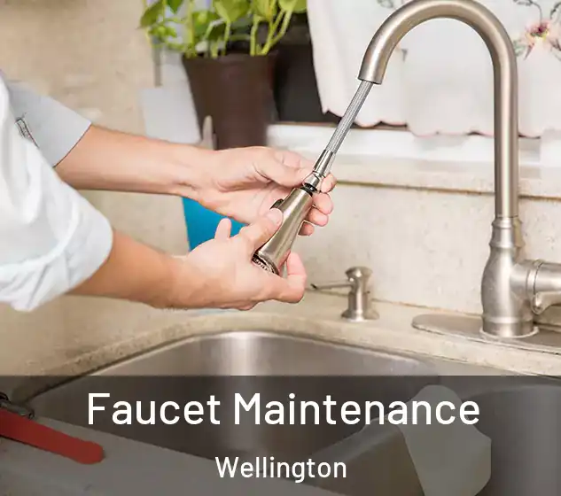 Faucet Maintenance Wellington