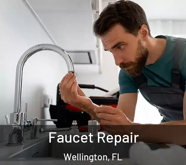  Faucet Repair Wellington, FL