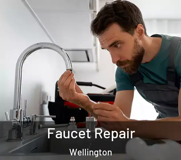  Faucet Repair Wellington