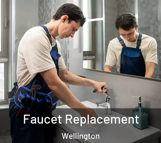  Faucet Replacement Wellington