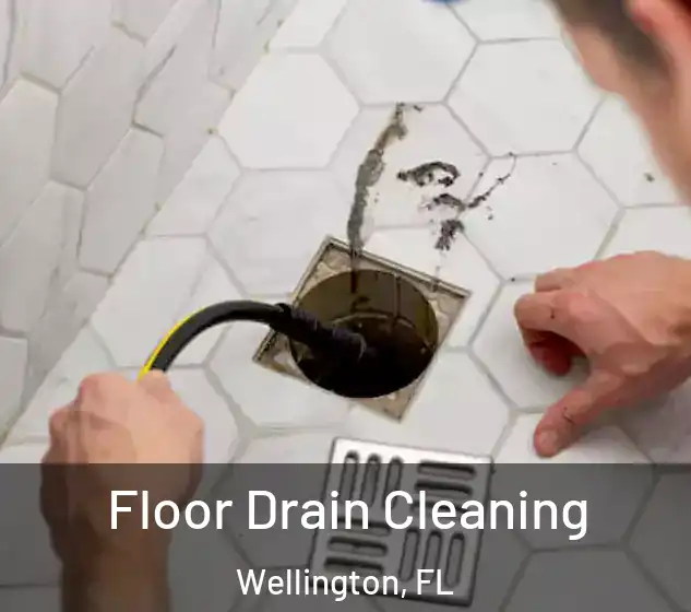  Floor Drain Cleaning Wellington, FL