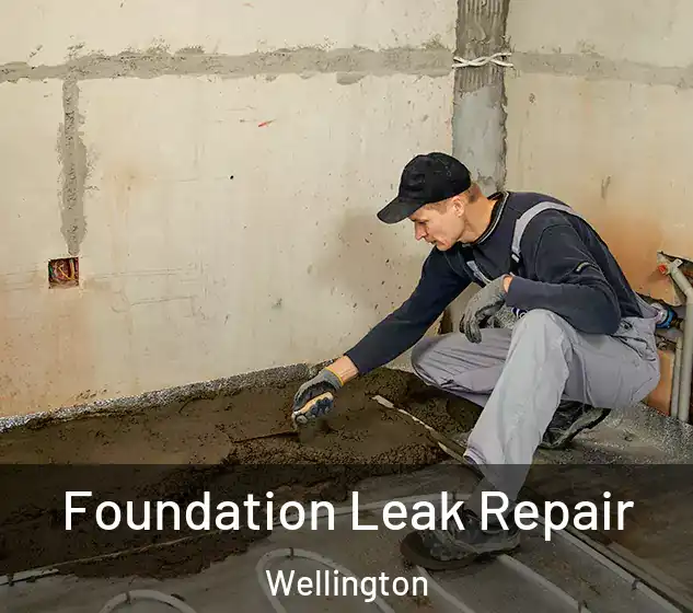  Foundation Leak Repair Wellington