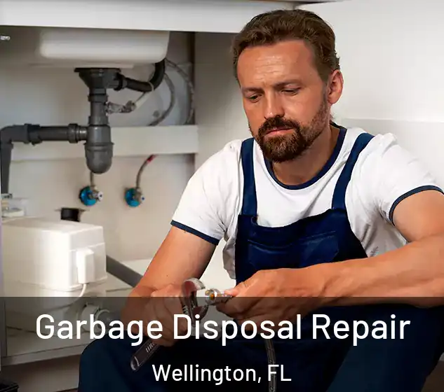  Garbage Disposal Repair Wellington, FL