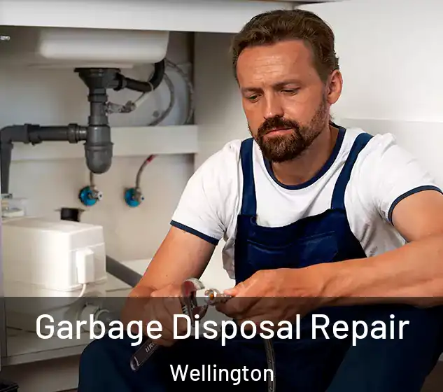 Garbage Disposal Repair Wellington