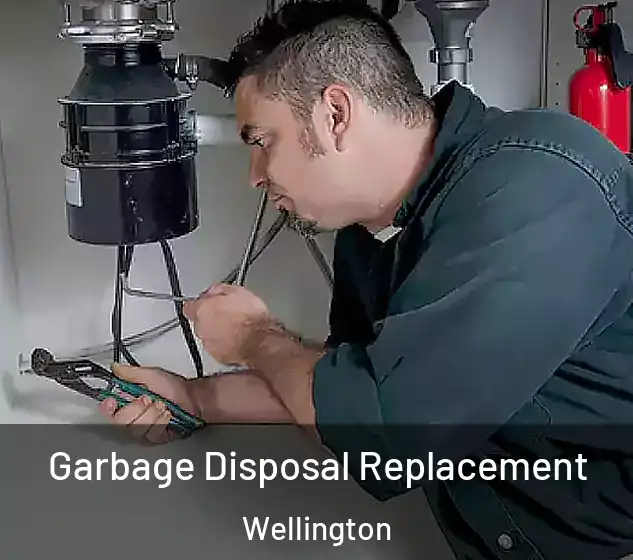  Garbage Disposal Replacement Wellington