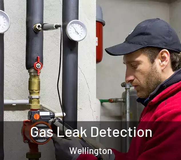  Gas Leak Detection Wellington