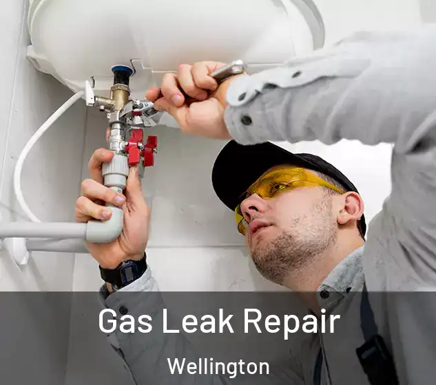  Gas Leak Repair Wellington