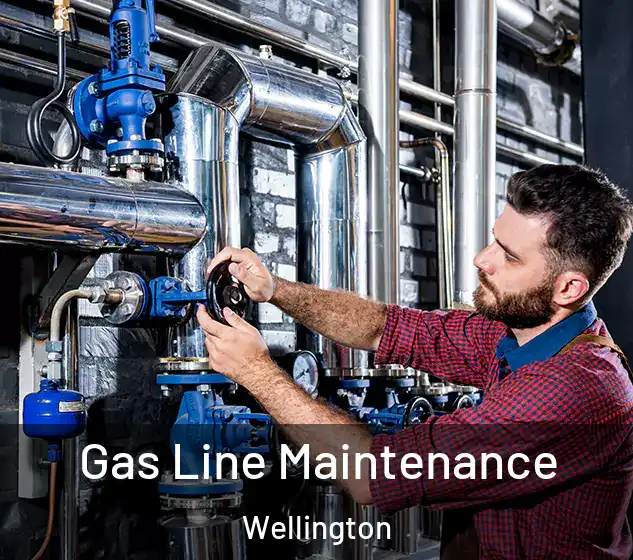  Gas Line Maintenance Wellington