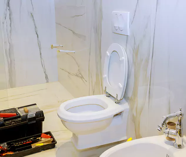 Get to Know Wellington Plumbing Pro in Wellington, FL