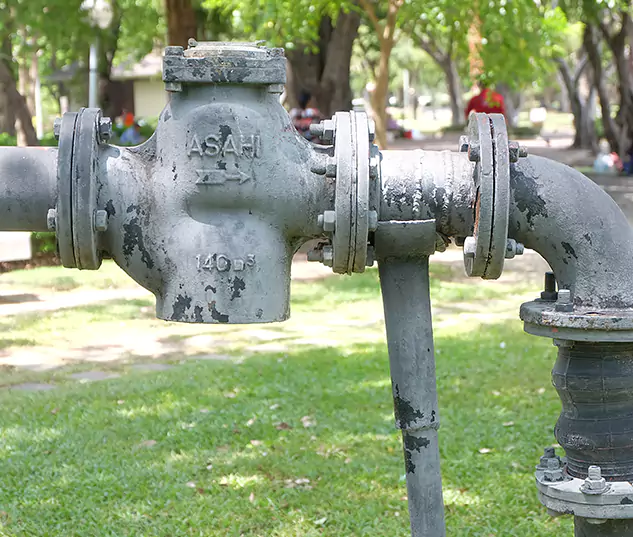 Your Trusted Plumbing Experts in Wellington, FL