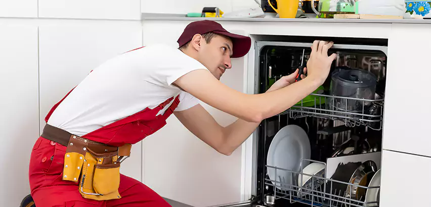 Scope of Kitchen Dishwasher Installation Services in Wellington, FL