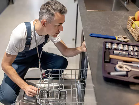 Why Wellington Plumbing Pro is the First Choice for Kitchen Dishwasher Plumbing Services in Wellington, FLx?