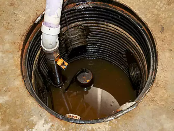 Why Wellington Plumbing Pro is the First Choice for Sewage Ejector Pump Maintenance Services in Wellington, FL?