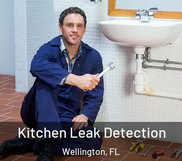  Kitchen Leak Detection Wellington, FL