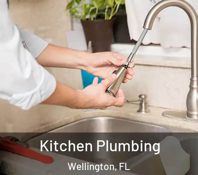  Kitchen Plumbing Wellington, FL