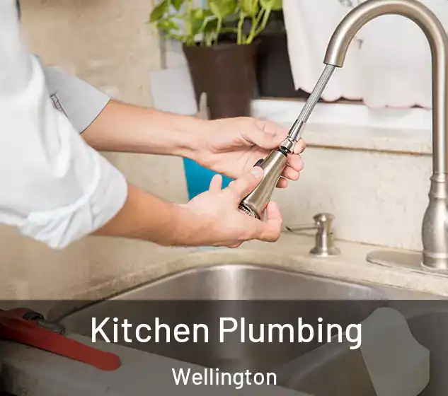  Kitchen Plumbing Wellington