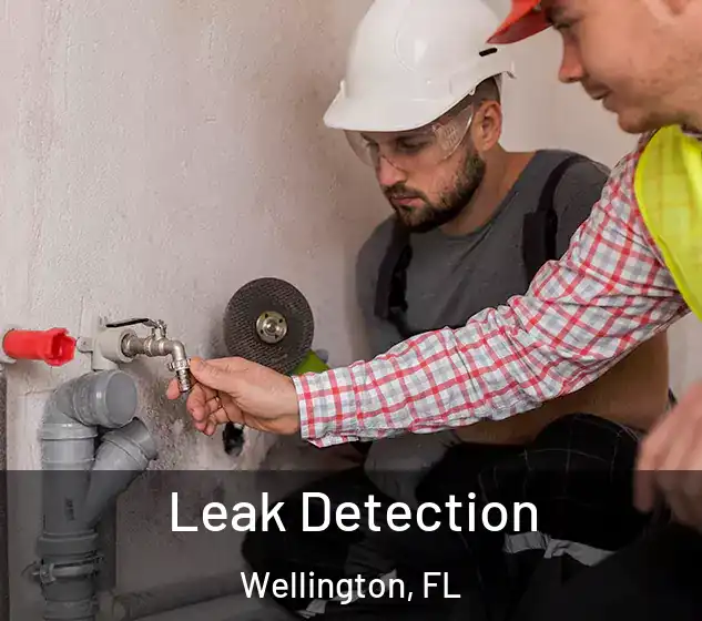  Leak Detection Wellington, FL