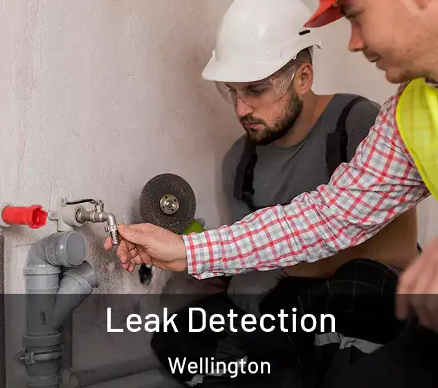 Leak Detection Wellington