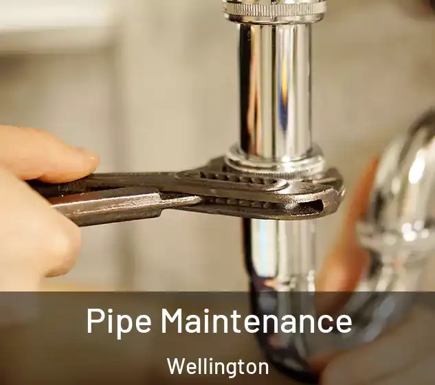  Pipe Maintenance Wellington