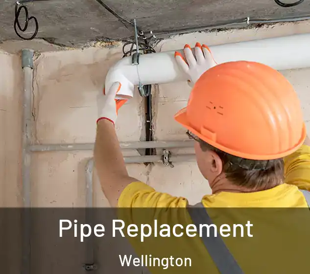  Pipe Replacement Wellington