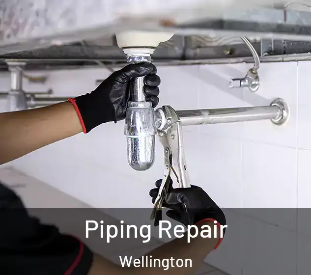  Piping Repair Wellington