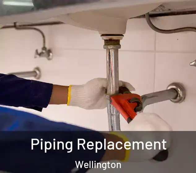  Piping Replacement Wellington