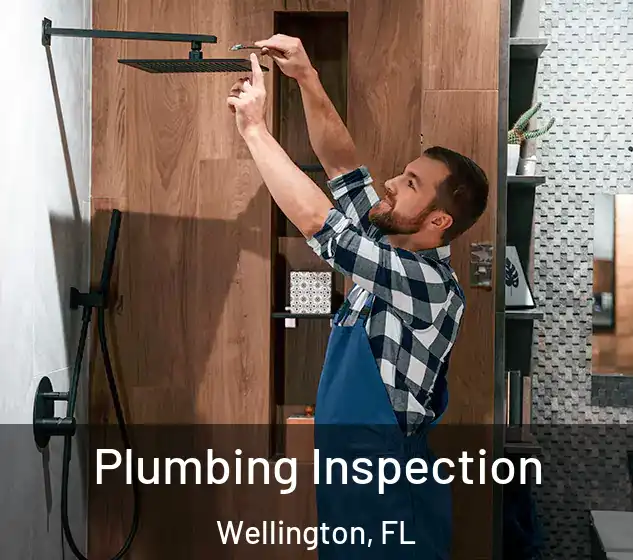  Plumbing Inspection Wellington, FL