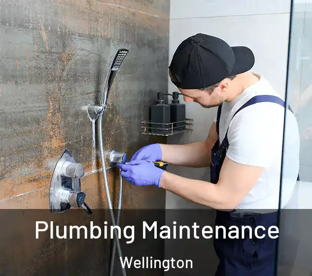  Plumbing Maintenance Wellington