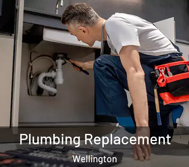  Plumbing Replacement Wellington