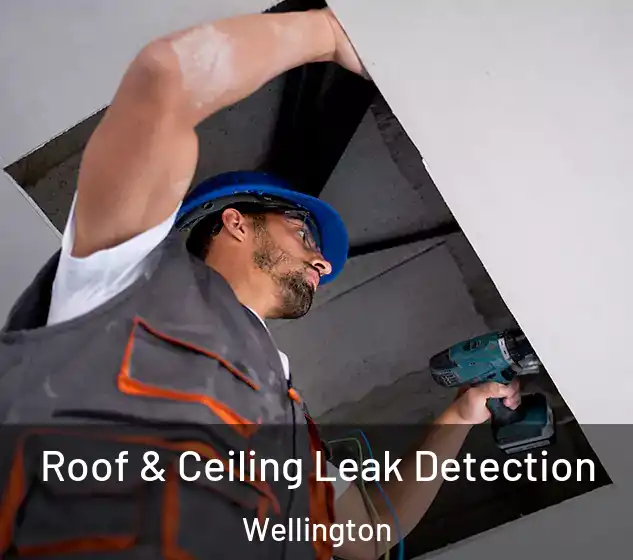  Roof & Ceiling Leak Detection Wellington