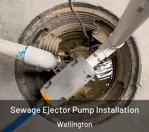 Sewage Ejector Pump Installation Wellington