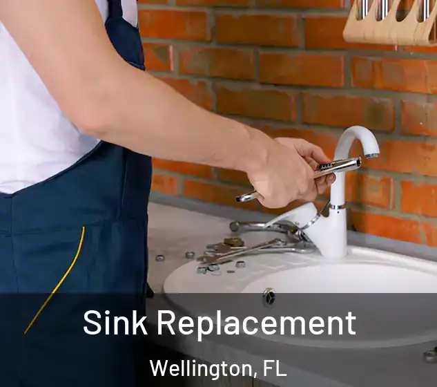 Sink Replacement Wellington, FL