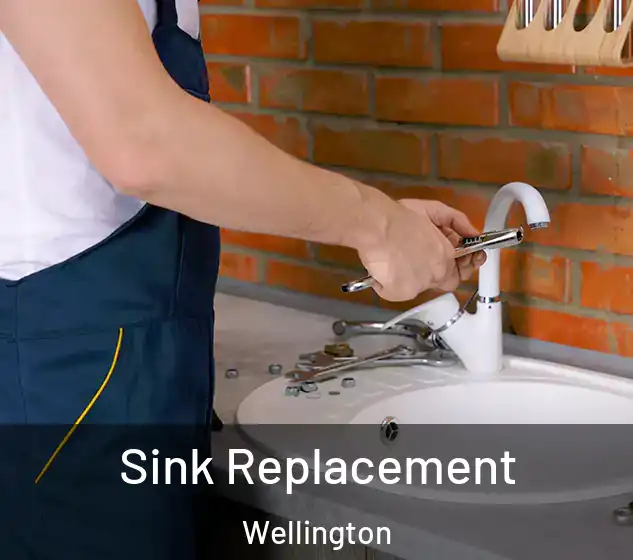  Sink Replacement Wellington
