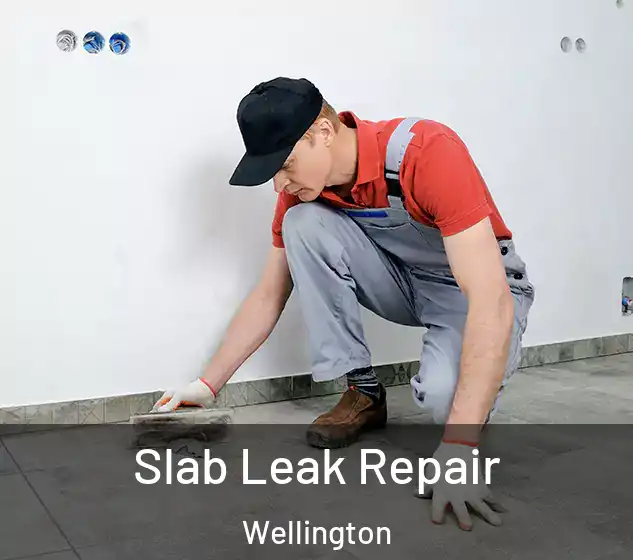  Slab Leak Repair Wellington