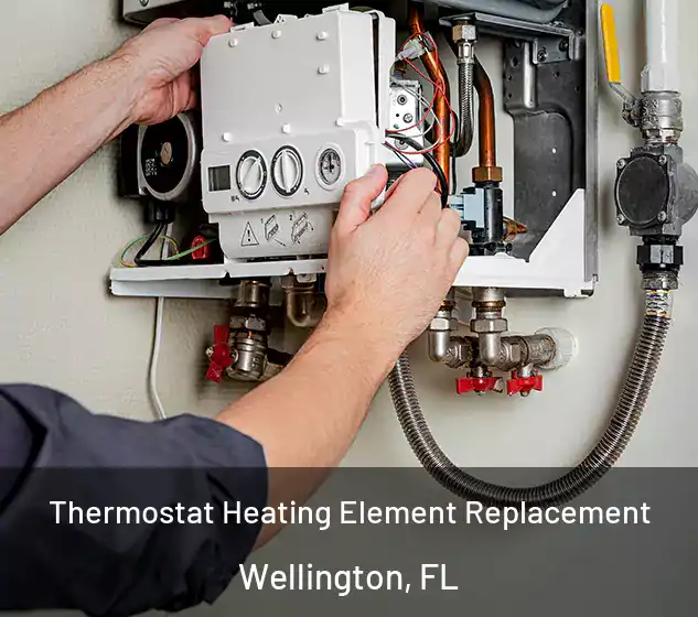  Thermostat Heating Element Replacement Wellington, FL