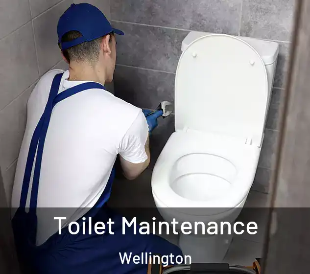  Toilet Maintenance Wellington