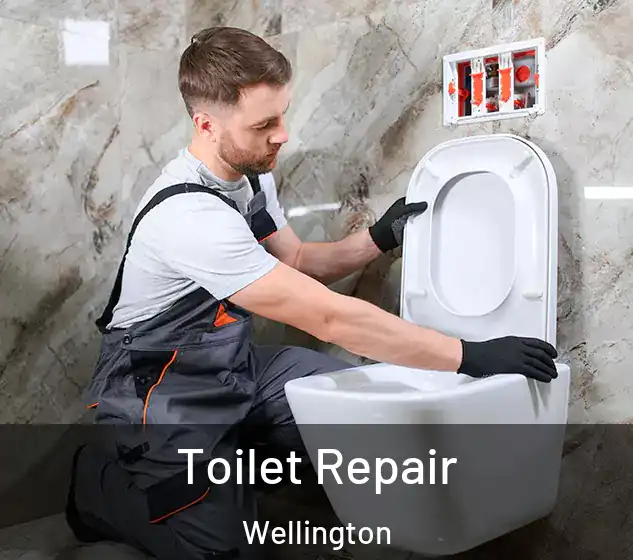  Toilet Repair Wellington